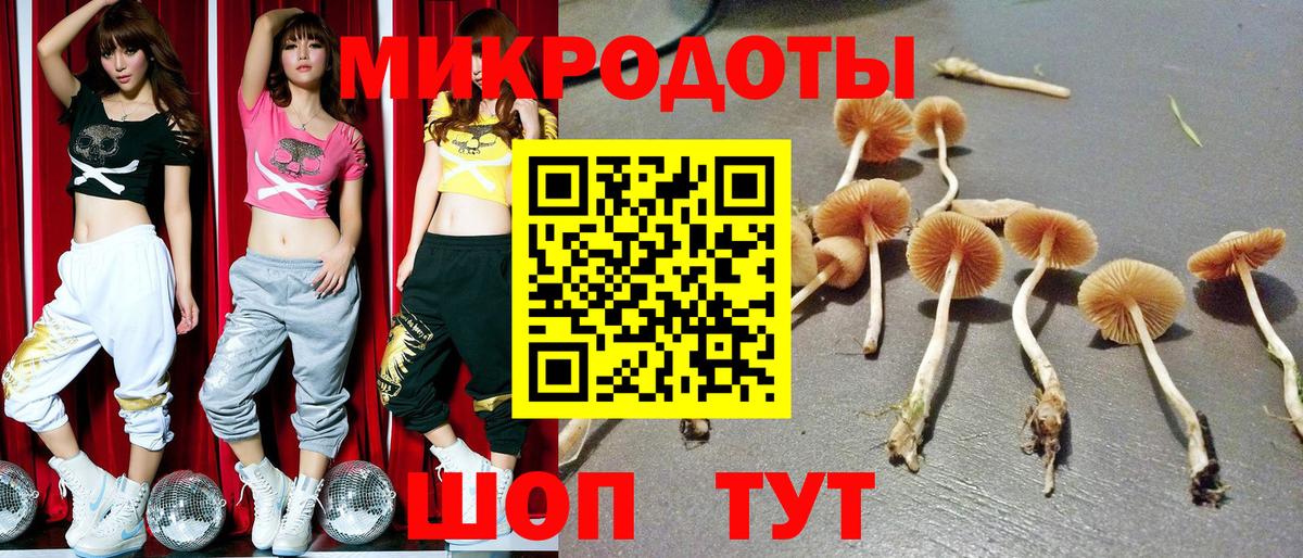 Галлюциногенные грибы прущие грибы Казань