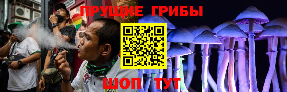 Казань  Псилоцибиновые грибы Psilocybe  Вход с VPN 